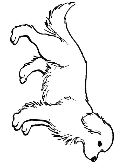Free printable bunny rabbit templates. Golden retriever coloring pages to download and print for free