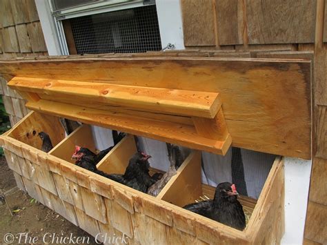 Nest Box Solution Chick Tv The Chicken Chick®