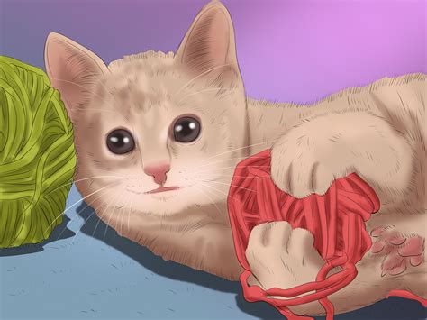 Synonyms & antonyms of taken care of. How to Take Care of a Cat (with Pictures) - wikiHow