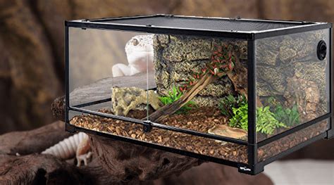 Leopard Gecko Tank Size How To Choose The Perfect Home For Your Pet