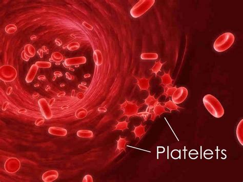 What Is The Treatment For Low Platelets Low Platelet Count