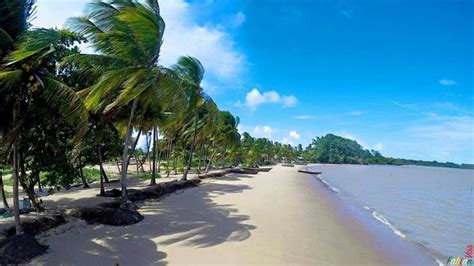 Top 7 Best Beaches In Suriname