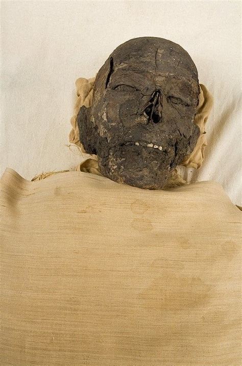 Mummy Of Ramesses Ix Ramesses Ix Was Probably A Egypt Museum