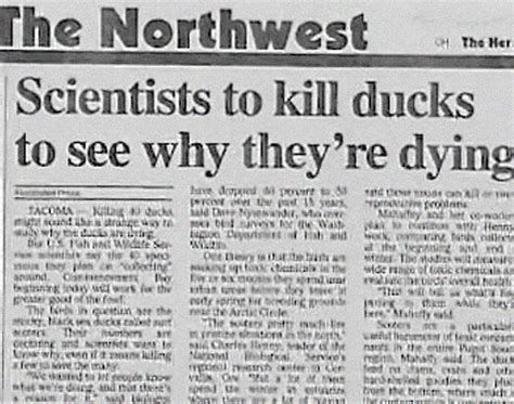40 Newspaper Headlines That Push The Limits Of Human Stupidity Demilked