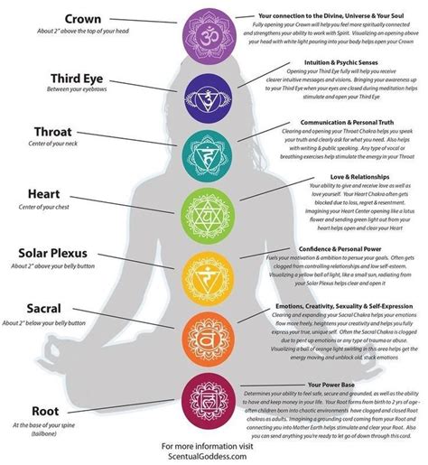 10 Reasons Why Daily Meditation Is So Beneficial Infographic Artofit