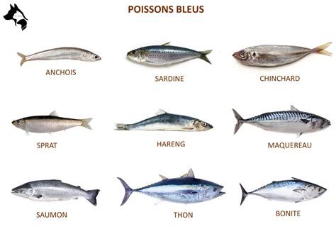 Liste Des Poissons Raw Feeding Prey Model