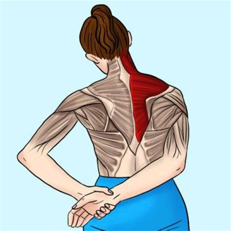 Upper Trapezius Stretch By Shana Martin Exercise How To Skimble