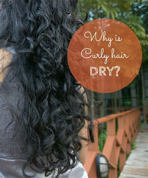 Top Image How To Dry Curly Hair Thptnganamst Edu Vn