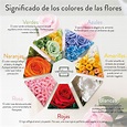 El significado de las rosas según su color - Verdissimo