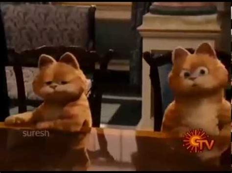 Garfield A Tail Of Two Kitties Tamil Dubbed Myedom