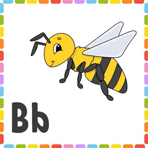 Funny Alphabet Letter B Bee Abc Square Flash Cards In 2020