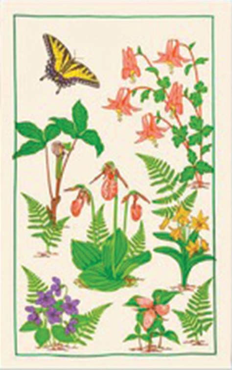 Wild Flowers Dish Towel Paine Products