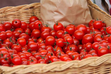 Small Red Cherry Tomato Good For Sauce And Fresh Salsas Rare Quality