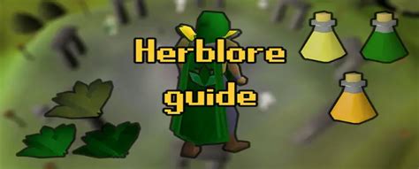 Osrs 1 99 Herblore Guide Best Osrs Guides