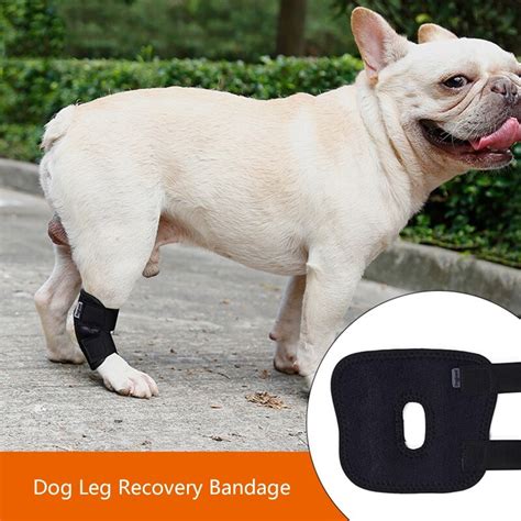 Dog Elbow Pad Dog Leg Hock Joint Protection Anti Lick Wounds Wrap Dog