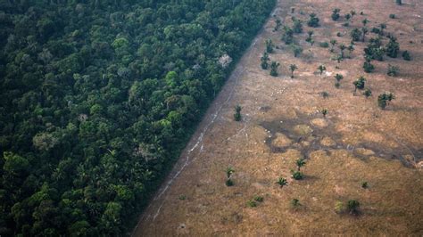 Amazon Rainforest Is Nearing Critical Tipping Point Grist