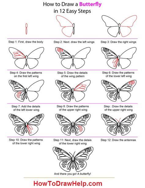 How To Draw A Butterfly Step By Step Tutorial Butterfly Drawing