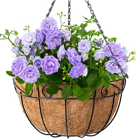 5 Best Hanging Baskets For Full Sun Aug 2022 Reviews And Buying Guide