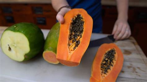 Papaya Is A Must Grow Crop In Florida Cultivation Info Cooking