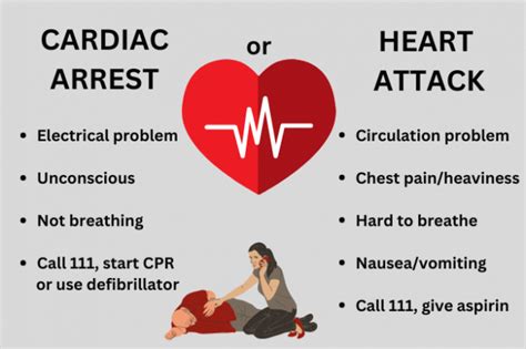 Heart Attack And Cardiac Arrest Health Navigator Nz