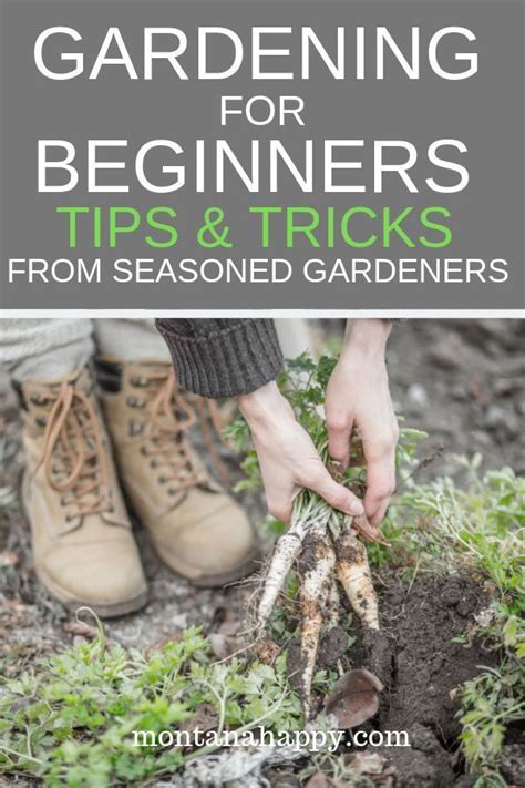 Gardening For Beginners Gardening Tips And Ideas Gardening Ideas From