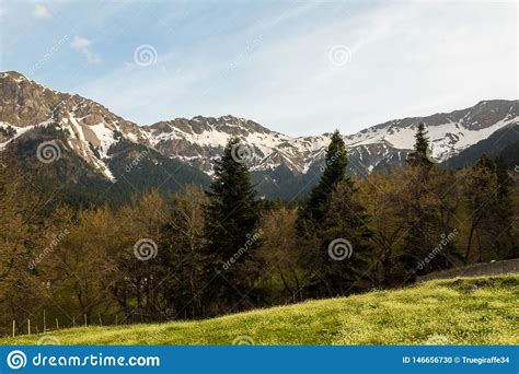 Mountain Tops Forest Meadow Scenic View Stock Photo Image Of Meadow