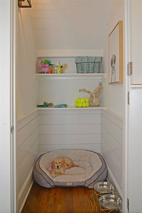 Best Laundry Room Ideas For Your Compact Home In 2020 Dog Room Decor