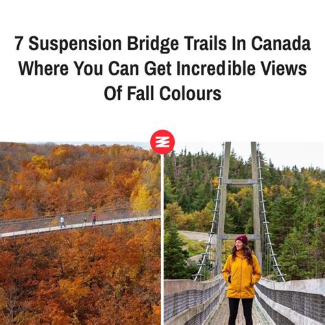 7 Suspension Bridge Trails In Canada Where You Can Get Incredible Views