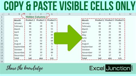 Copy Paste Visible Cells Only Exceljunction Youtube