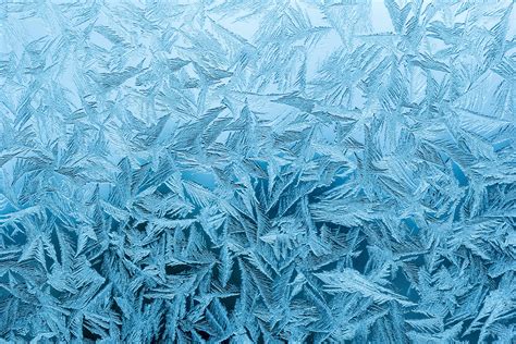 Free Images Branch Winter Texture Ice Pattern Line Frozen Blue