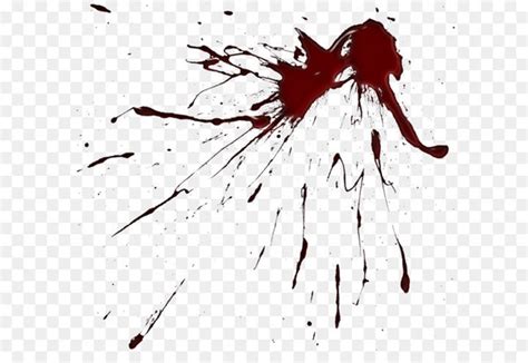 I drew blood, performed ecg, drew blood gas sample, placed iv access, performed nst, placed so, if you are good at blood drawing, patients think you are a nurse! Brush Drawing Paint Splatter film Clip art - Blood ...