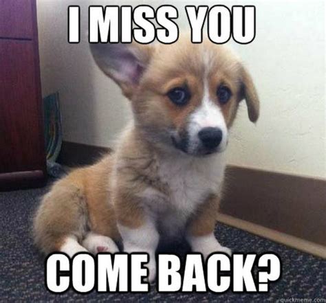 100 Of The Best I Miss You Memes To Send To Your Bae Freejoint