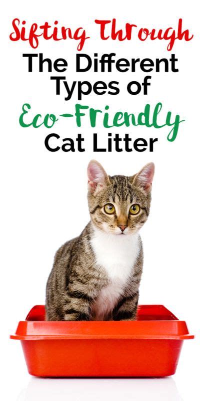 A biodegradable bag designed for cat litter may seem like a great option. Sifting Through The Different Types of Eco-Friendly Cat ...