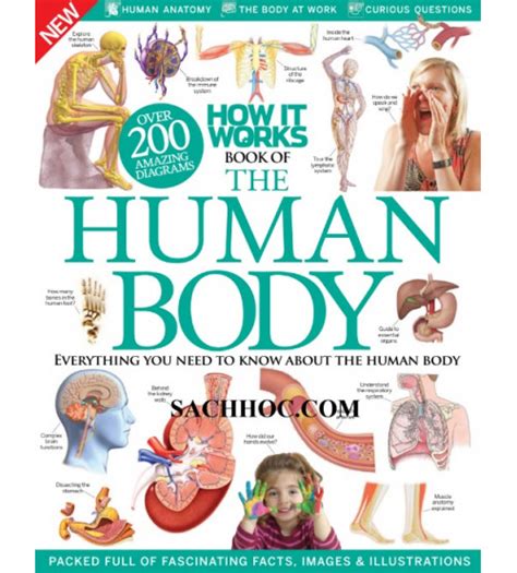 How It Works Book Of The Human Body