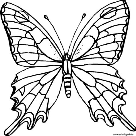 Coloriage Papillon 22