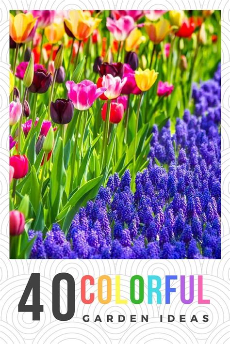 40 Colorful Garden Ideas Color Explosion Colorful Flower Beds