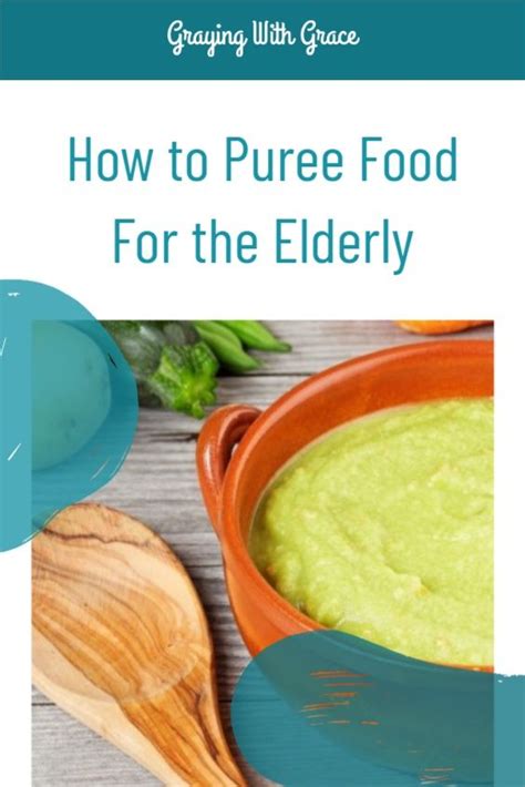 Pureed Meals For Elderly 27 Great Tasting Recipes Pureed Food