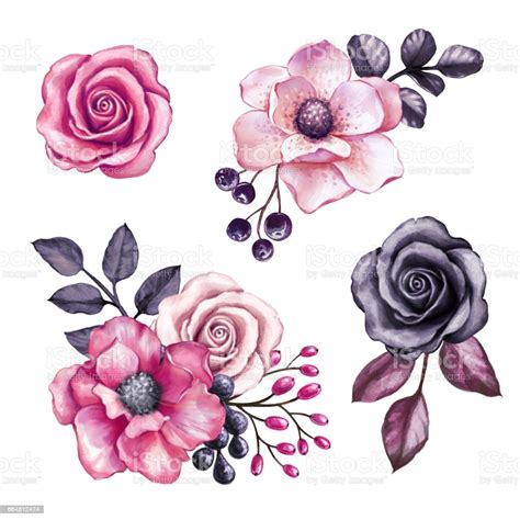 Watercolor Illustration Pink Flowers And Black Leaves Design Elements