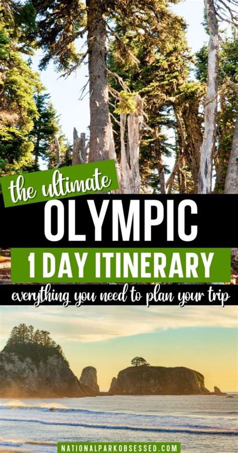 1 Day In Olympic How To Spend One Day In Olympic National Park