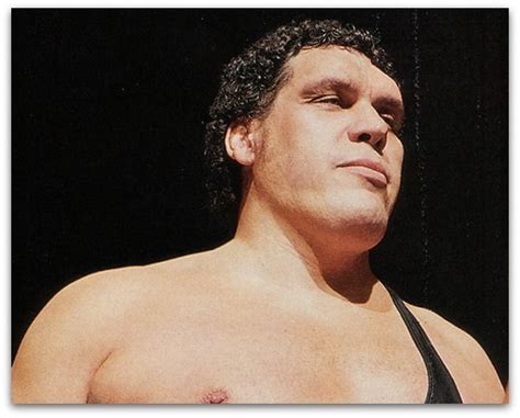 5 Gigantic Facts About André The Giant Andre The Giant Famous