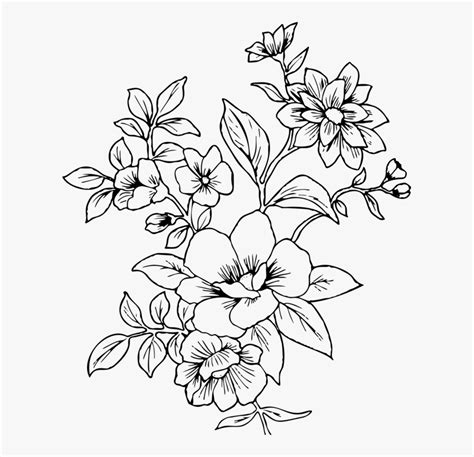 Flower Line Drawing Png Transparent Png Kindpng