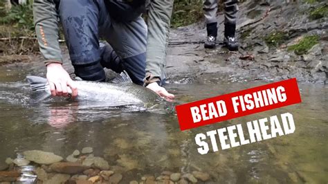Bead Fishing For Steelhead On A Small Coastal River Youtube
