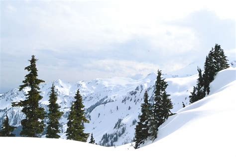 Mt Baker Backcountry Skiing Mountain Landscape Wilderness Scenery