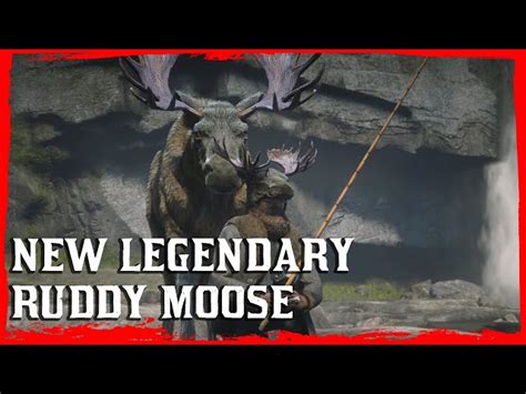 Today we take a look at the location of the skunk in red dead redemption 2, as well as the weapon needed to get a perfect pelt + what it can be traded for at the trapper. Red Dead Online's next legendary animal is a Ruddy Moose ...