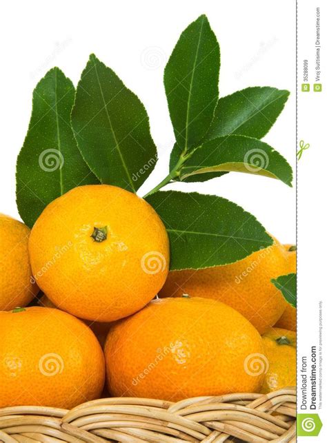 Mandarin Orange Stock Image Image Of Fiber Food Vitamin 35288099