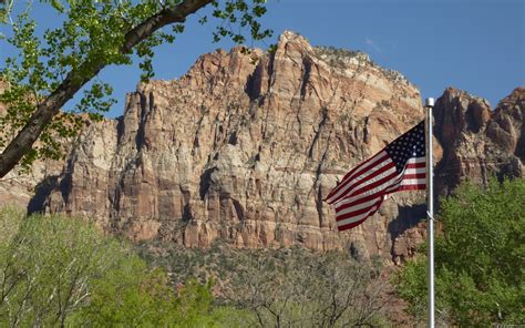 American Flag In Zion National Park I