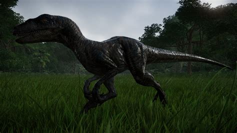 Jurassic World Evolution Velociraptor 05 By Kanshinx3 On Deviantart