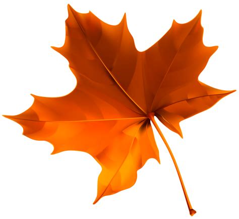 Orange Leaf Clipart Free Download On Clipartmag
