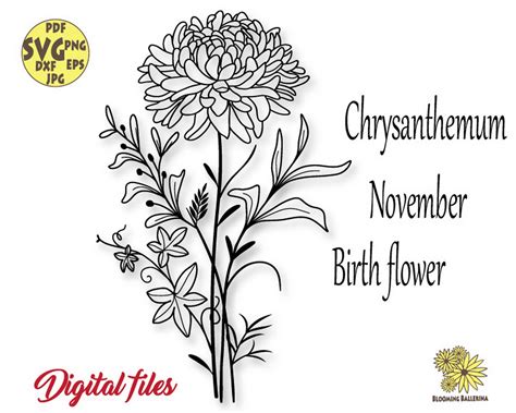 Chrysanthemum Svg November Birth Flower Svg Floral Zodiac Etsy