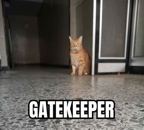 Gatekeeper Cat Meme Generator